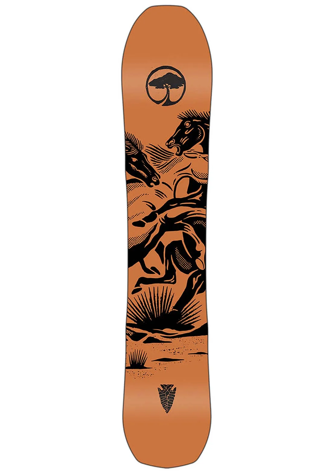 Arbor Unisex Carter Camber Snowboard