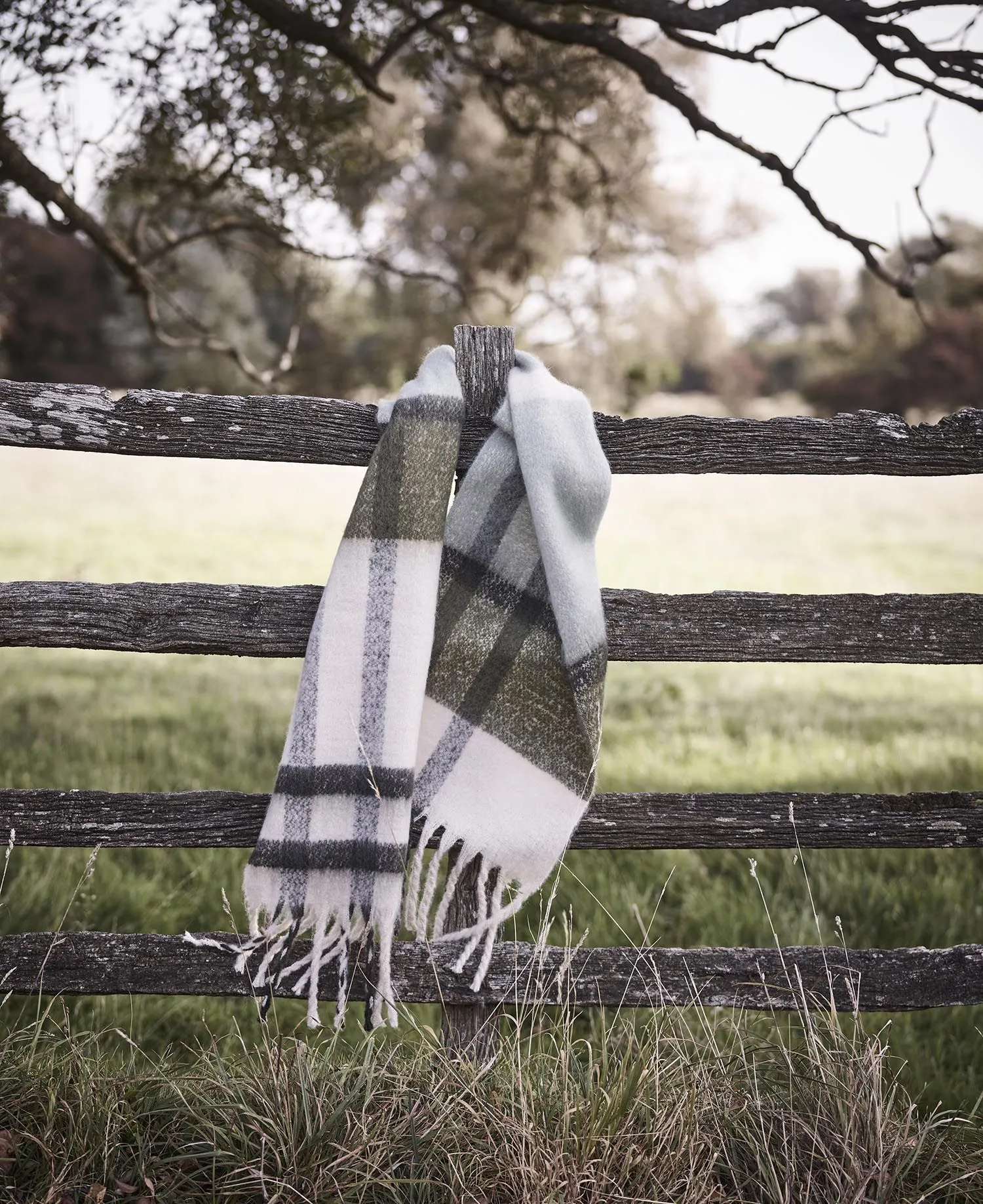 Barbour Isla Tartan Boucle Scarf