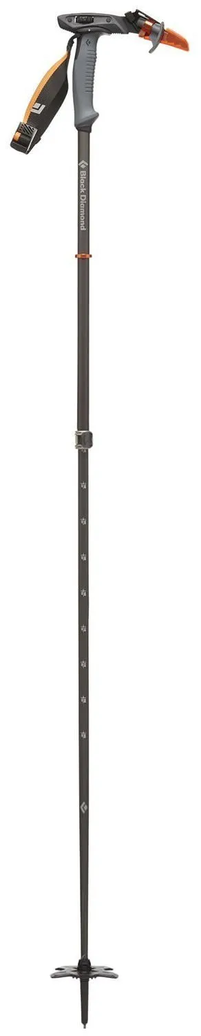 Carbon Whippet Ski Pole