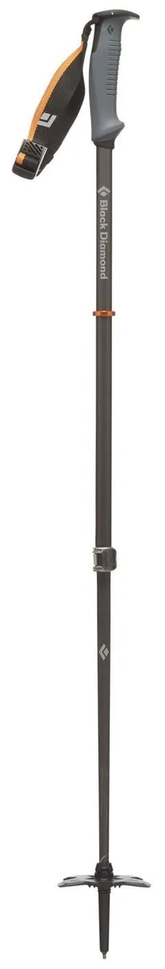 Carbon Whippet Ski Pole