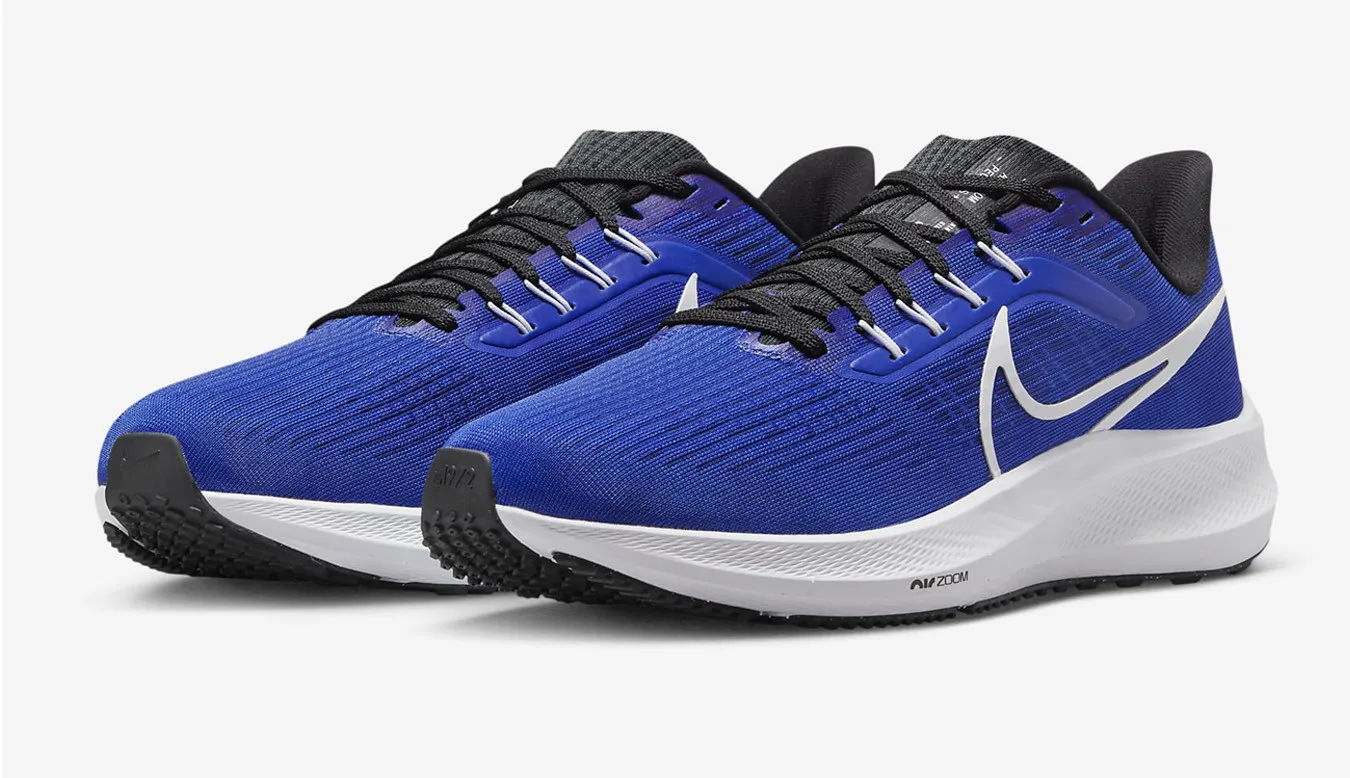 Nike Air Zoom Pegasus 39