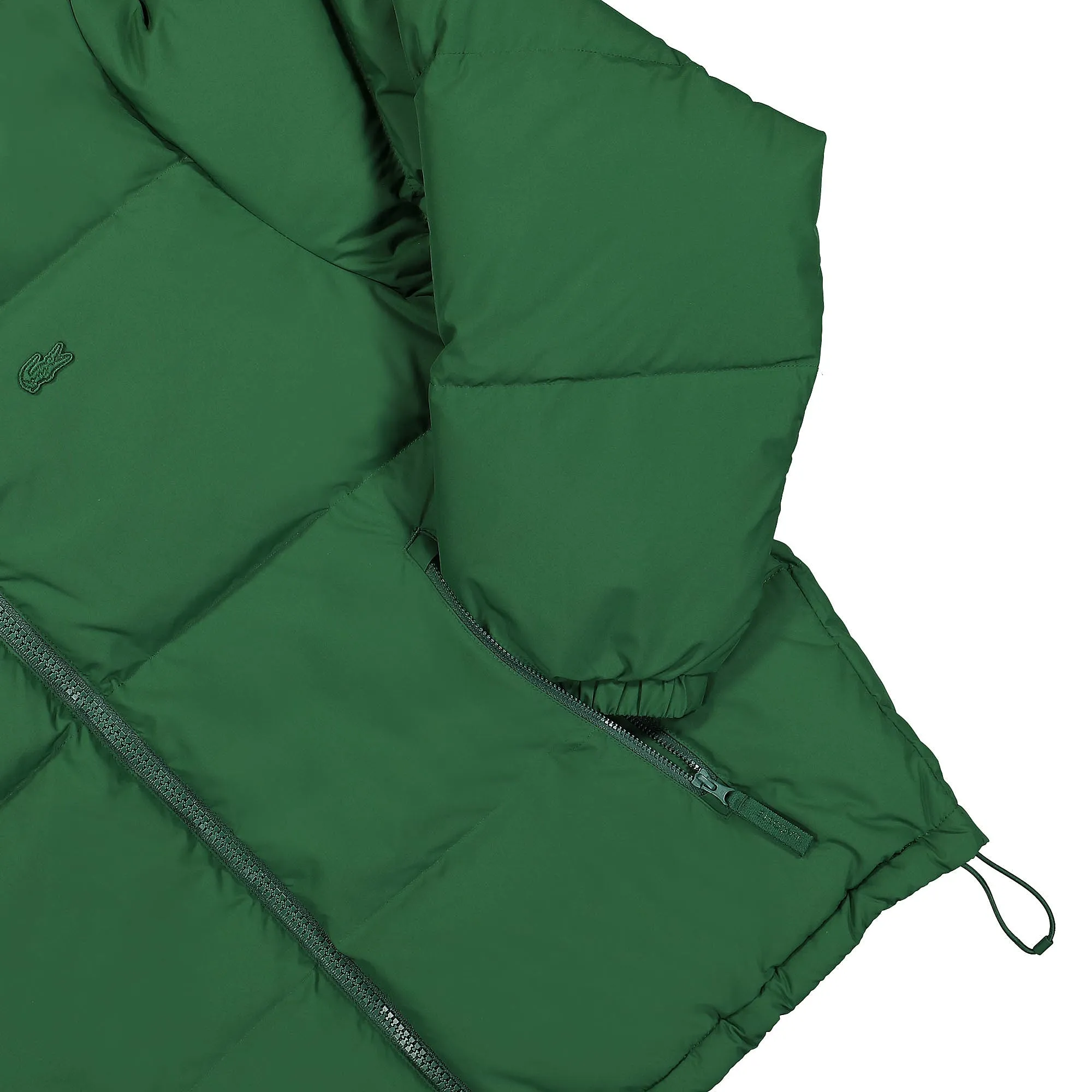 Padded Hooded Jacket