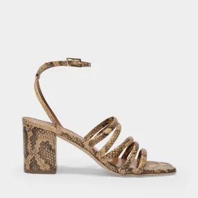 Paris Texas  Carla Sandal 70 Sandals in Miele Printed Leather