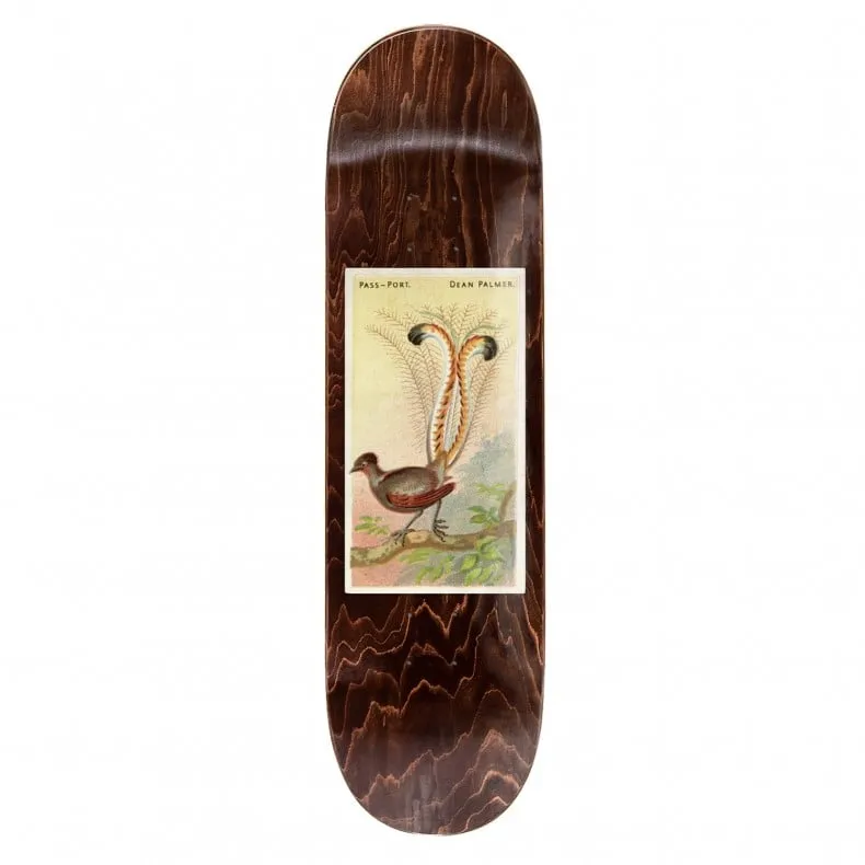 PASS~PORT Dean Lyrebird Skateboard Deck 8.38