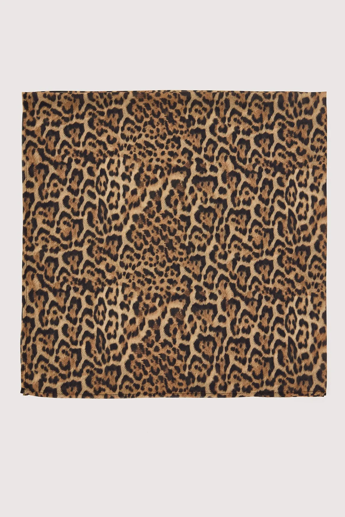 Perfect Stranger Serengeti Leopard Scarf Leopard