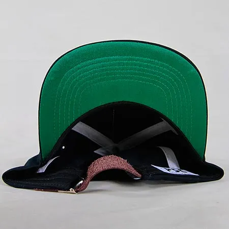 Polar Skateboards Stroke Logo Snap-Back Hat